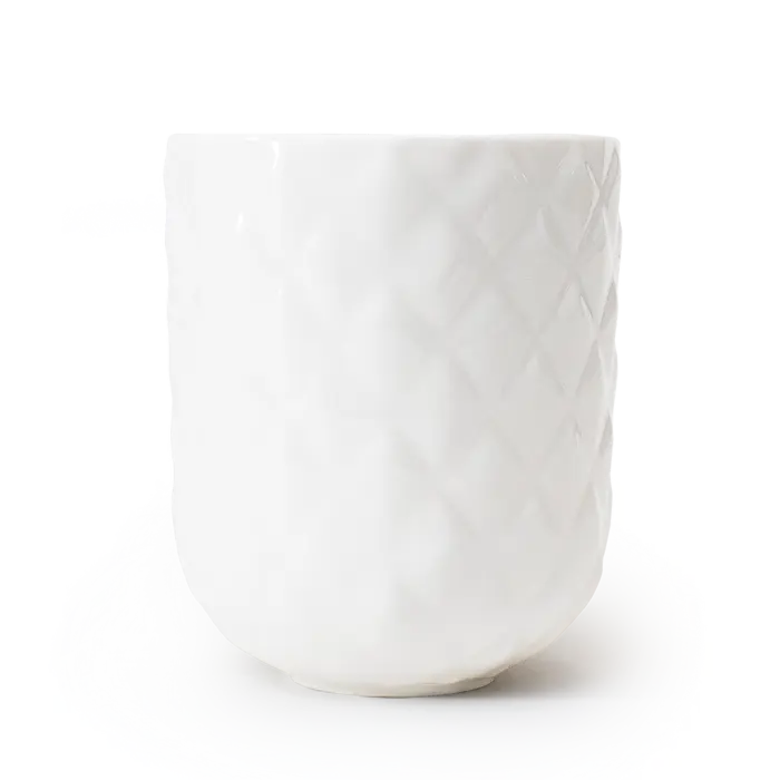 Nature's Garden Pineapple Mug - MUG222 - Image 4